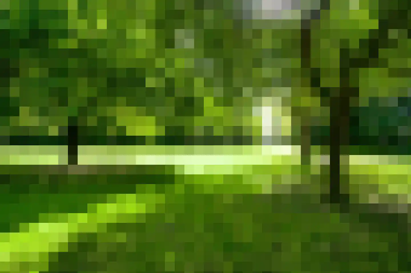 Stadhouderlaan 23 Horn thumbnail 59