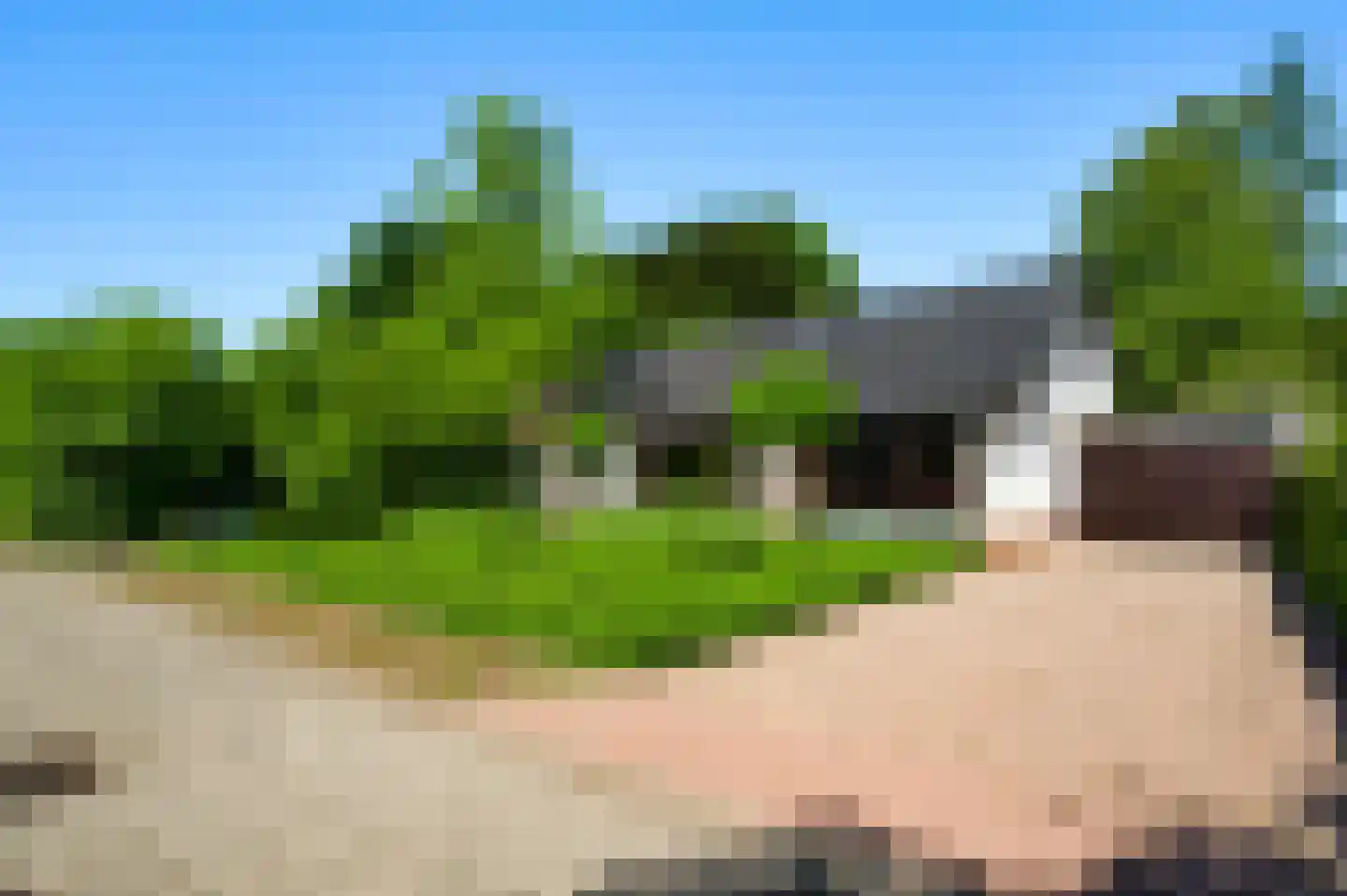 Stadhouderlaan 23 Horn thumbnail 62
