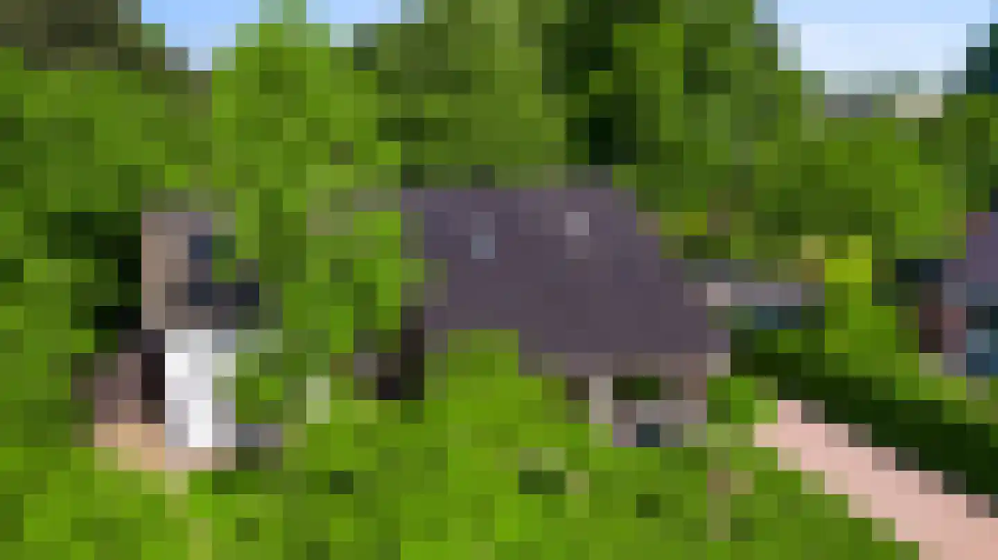 Stadhouderlaan 23 Horn thumbnail 67