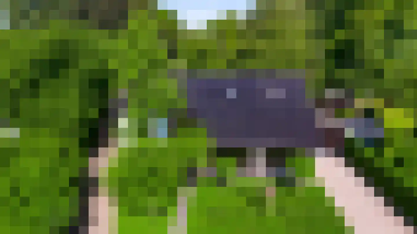 Stadhouderlaan 23 Horn thumbnail 68