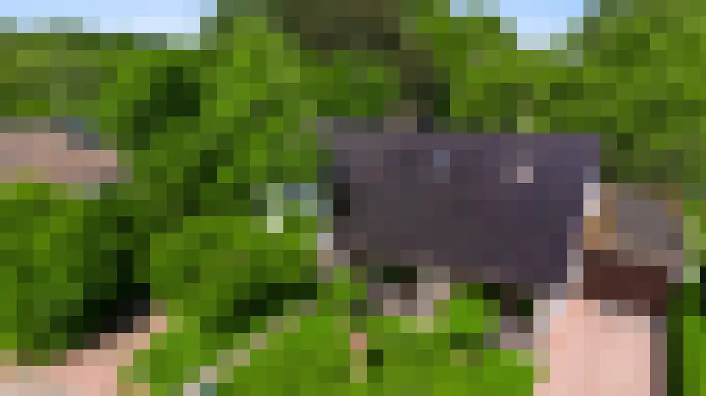 Stadhouderlaan 23 Horn thumbnail 69