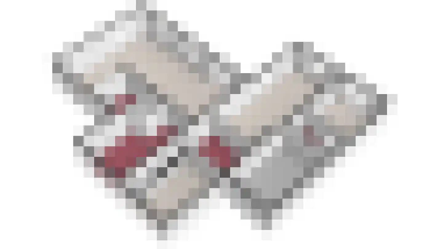 Stadhouderlaan 23 Horn thumbnail 74