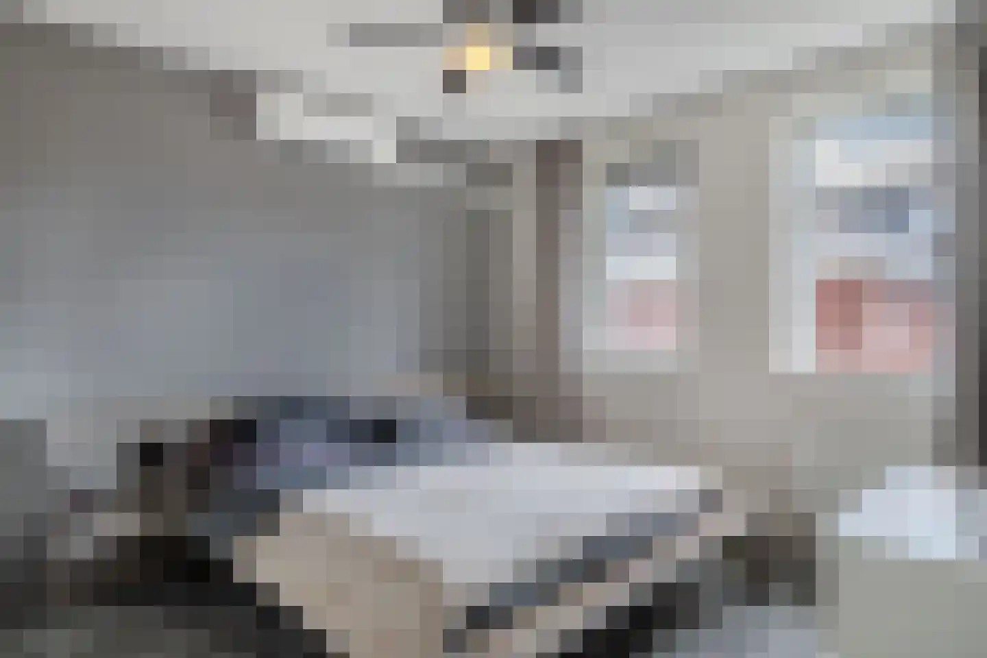 Stadhouderlaan 41 Heerenveen thumbnail 25