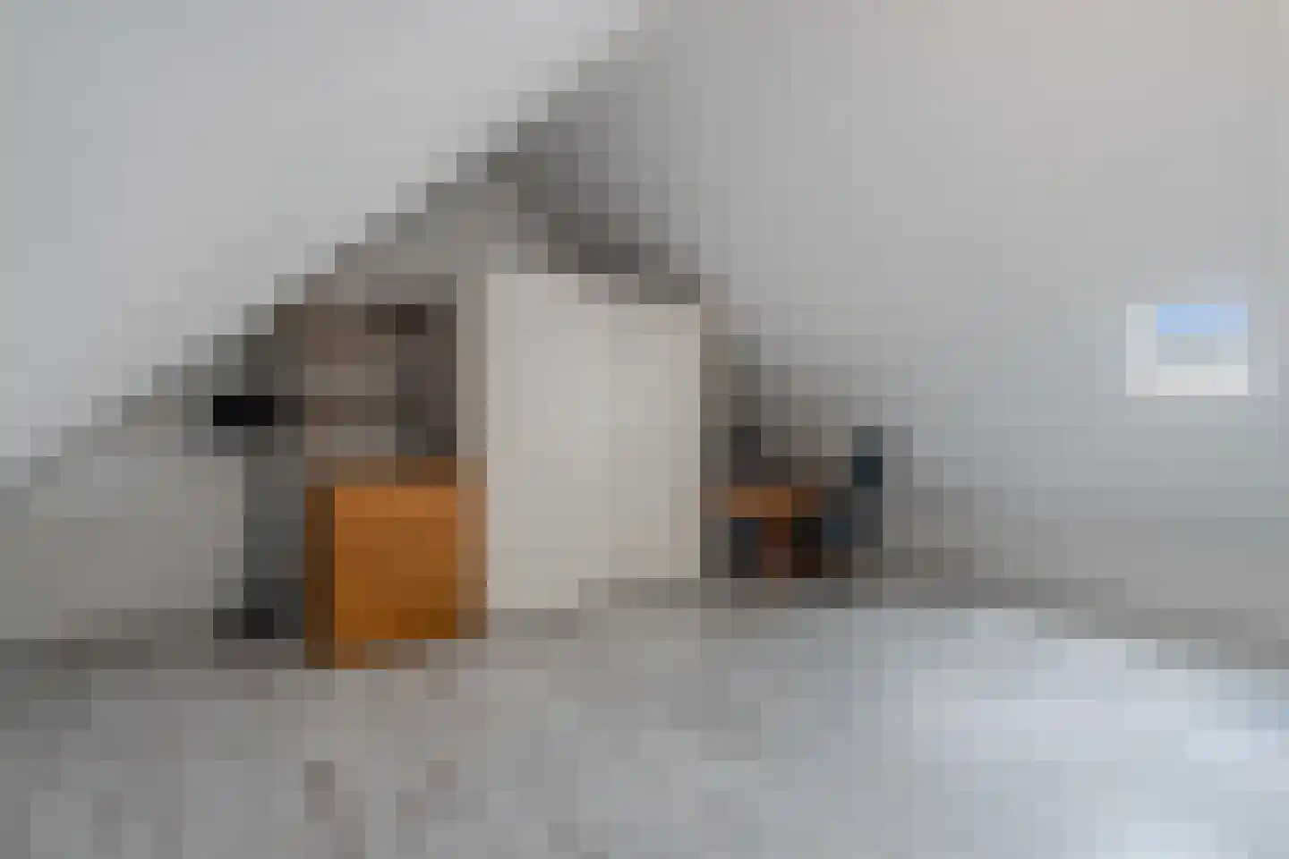 Stadhouderlaan 41 Heerenveen thumbnail 35