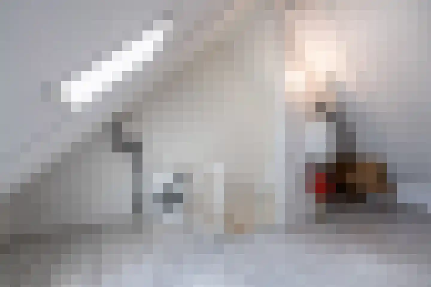Stadhouderlaan 41 Heerenveen thumbnail 36