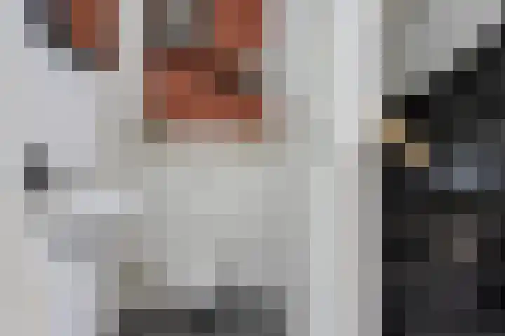 Stadhouderlaan 45 Heerenveen thumbnail 20