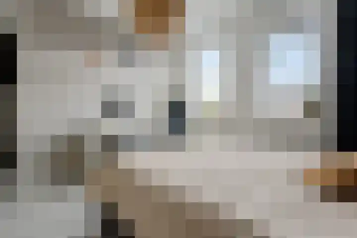 Stadhouderlaan 45 Heerenveen thumbnail 30