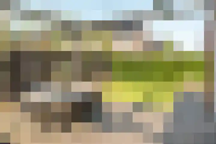 Stadhouderlaan 46 Heerenveen thumbnail 39