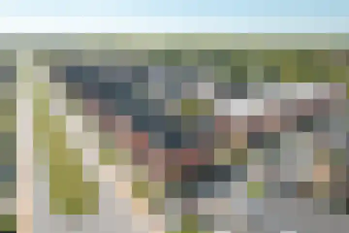 Stadhouderlaan 46 Heerenveen thumbnail 47
