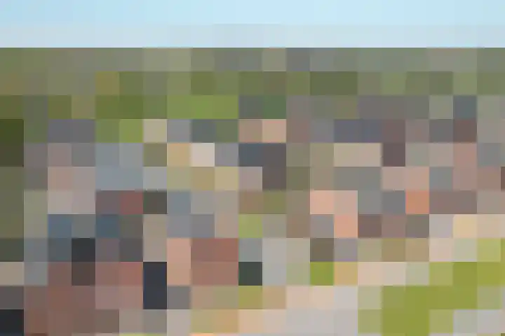 Stadhouderlaan 46 Heerenveen thumbnail 48