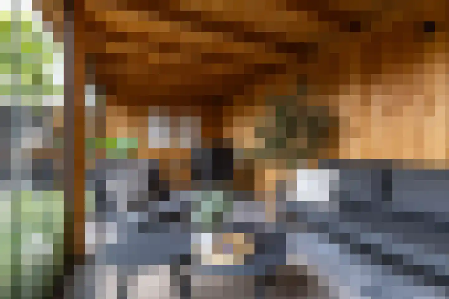 Stadhouderlaan 52 Heerenveen thumbnail 32