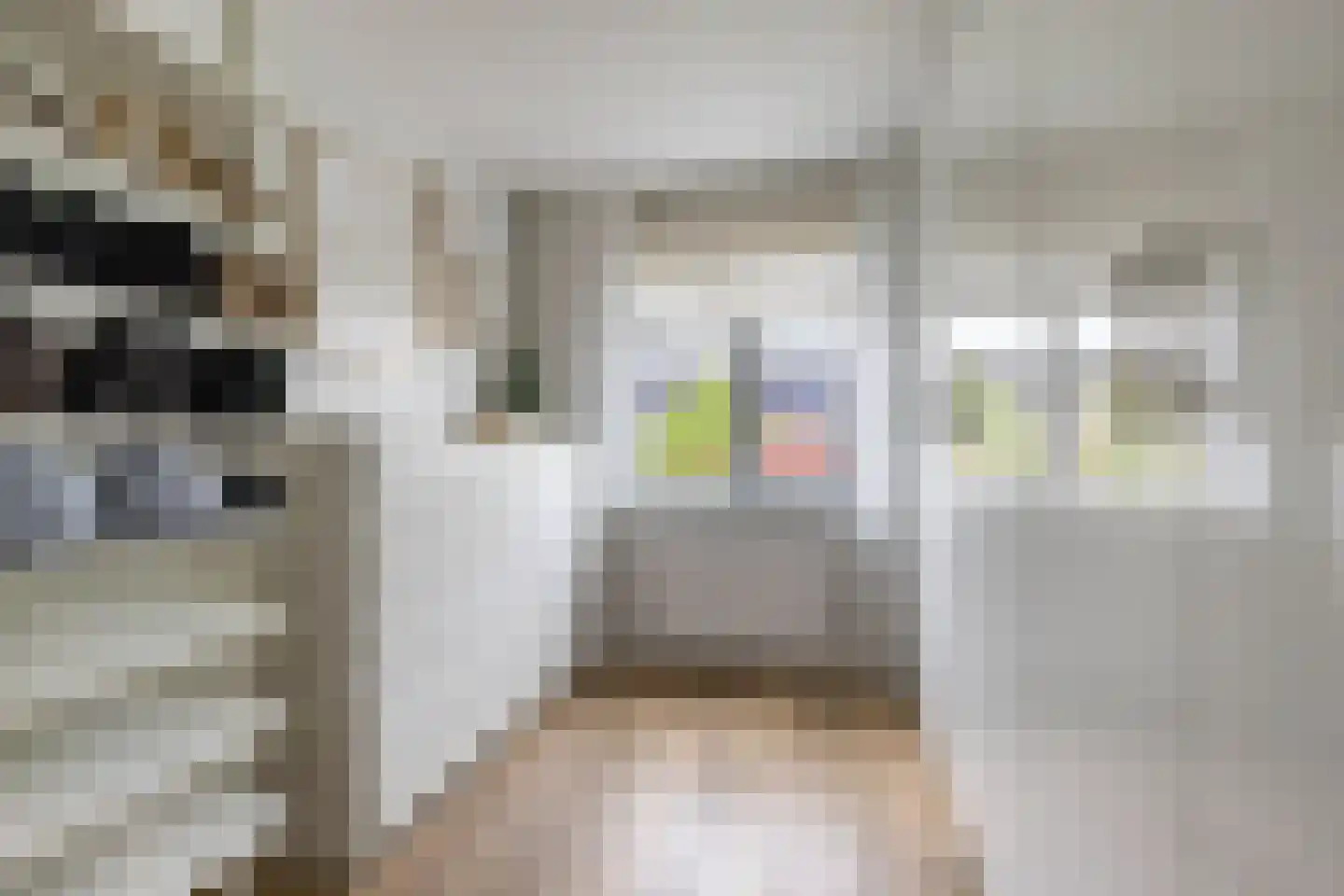 Stadhouderlaan 52 Heerenveen thumbnail 37