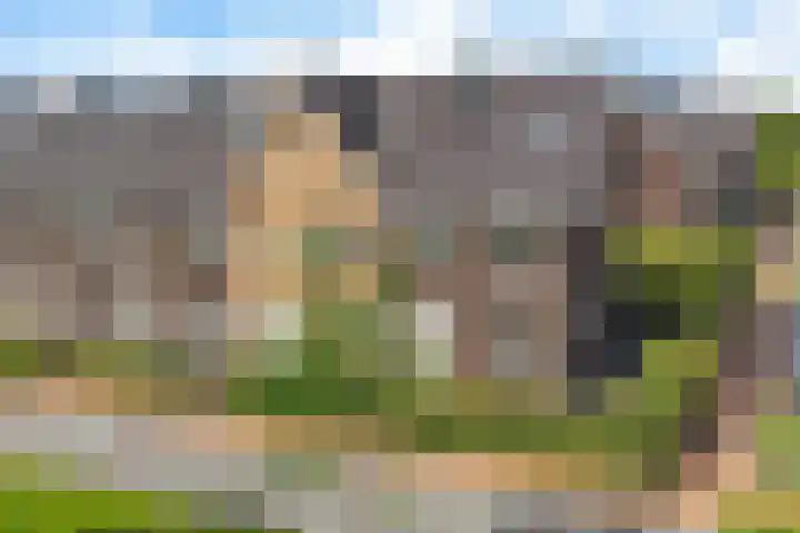 Stadhouderlaan 70 Heerenveen thumbnail 13