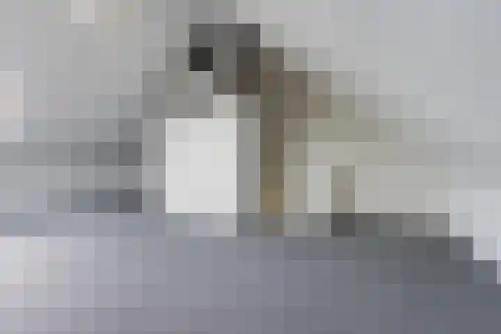 Stadhouderlaan 70 Heerenveen thumbnail 38