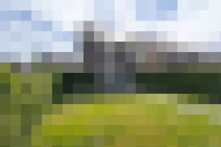 Stadhouderlaan 70 Heerenveen thumbnail 43