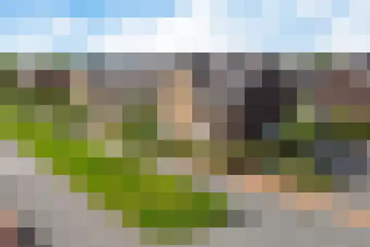 Stadhouderlaan 70 Heerenveen thumbnail 7