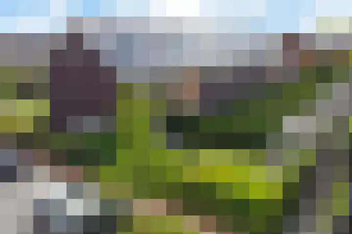 Stadhouderlaan 70 Heerenveen thumbnail 8
