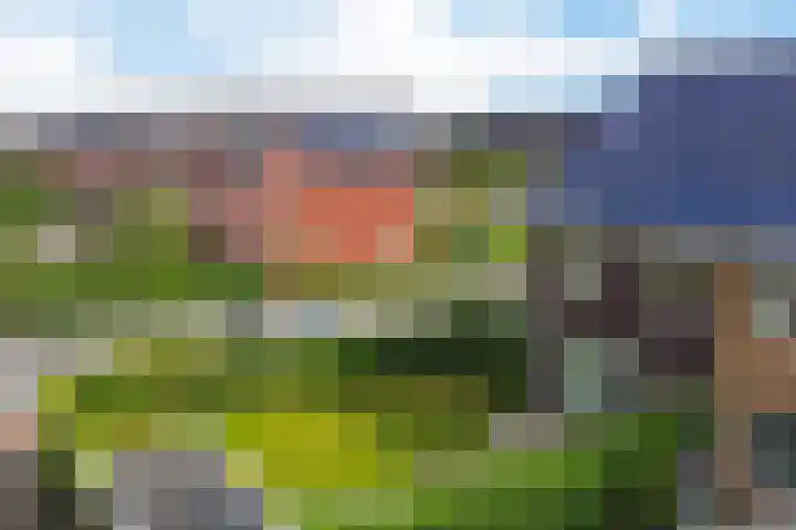 Stadhouderlaan 70 Heerenveen thumbnail 9