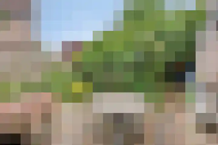 Stadhouderlaan 71 Zwolle thumbnail 24