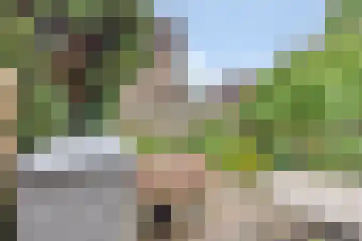 Stadhouderlaan 71 Zwolle thumbnail 25