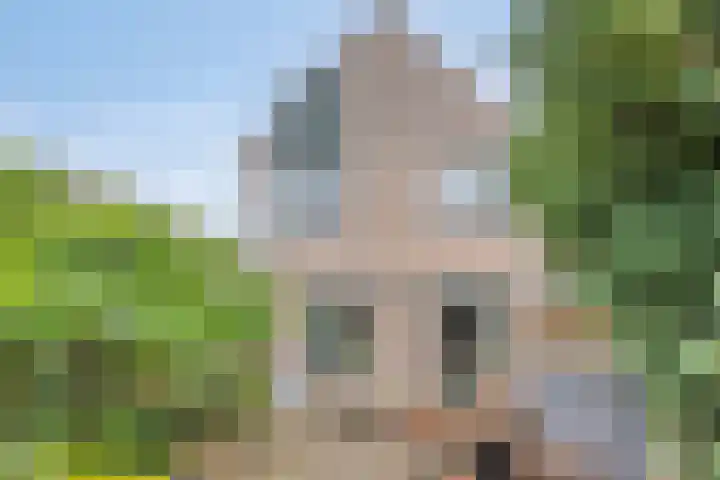 Stadhouderlaan 71 Zwolle thumbnail 26