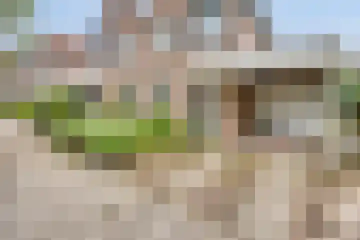 Stadhouderlaan 71 Zwolle thumbnail 29