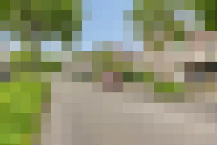 Stadhouderlaan 71 Zwolle thumbnail 31