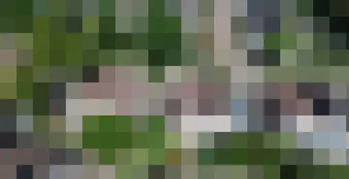 Stadhouderlaan 71 Zwolle thumbnail 34