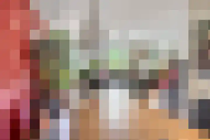 Stadhouderlaan 71 Zwolle thumbnail 7