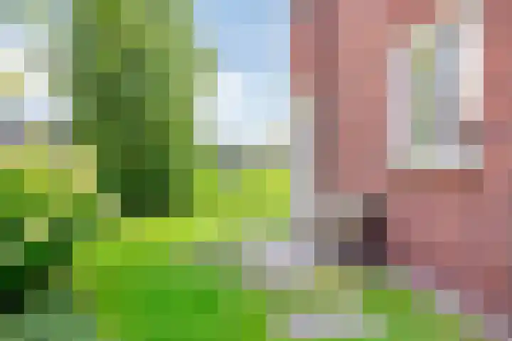Stadhouderlaan 96 Heerenveen thumbnail 37