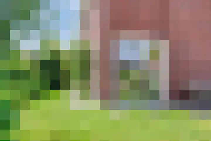 Stadhouderlaan 96 Heerenveen thumbnail 38