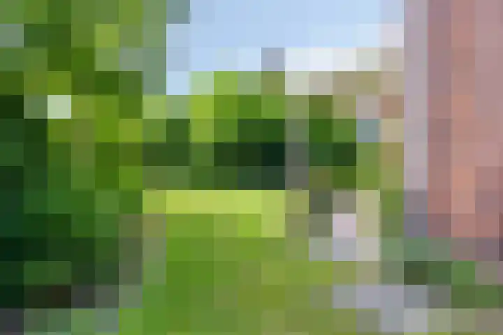 Stadhouderlaan 96 Heerenveen thumbnail 42