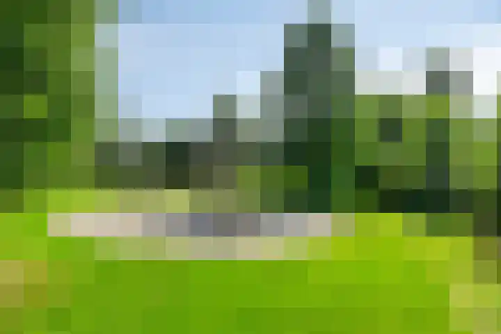 Stadhouderlaan 96 Heerenveen thumbnail 59