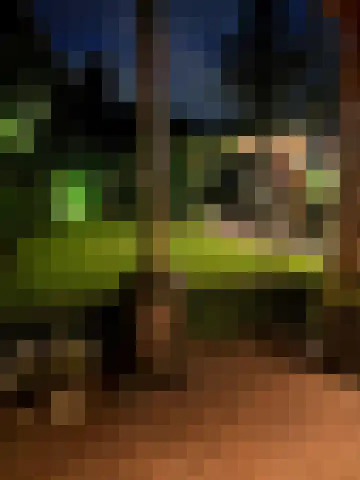 Stadhouderlaan 96 Heerenveen thumbnail 67