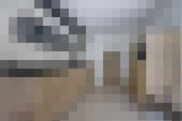 Stadhoudershoef 2 Hank thumbnail 10