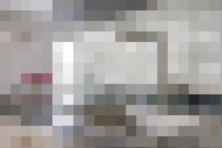 Stadhoudershoef 2 Hank thumbnail 13
