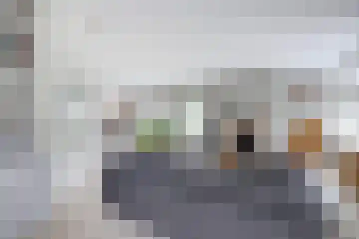Stadhoudershoef 2 Hank thumbnail 15