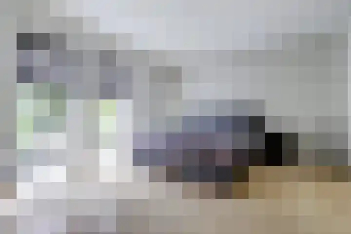Stadhoudershoef 2 Hank thumbnail 17