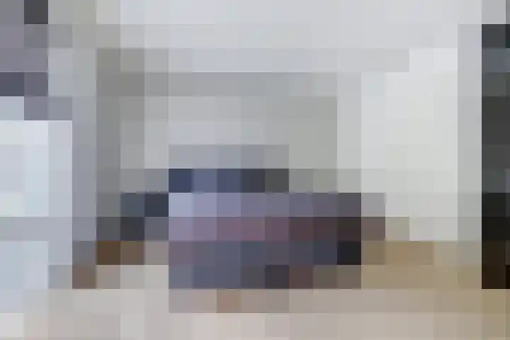 Stadhoudershoef 2 Hank thumbnail 18