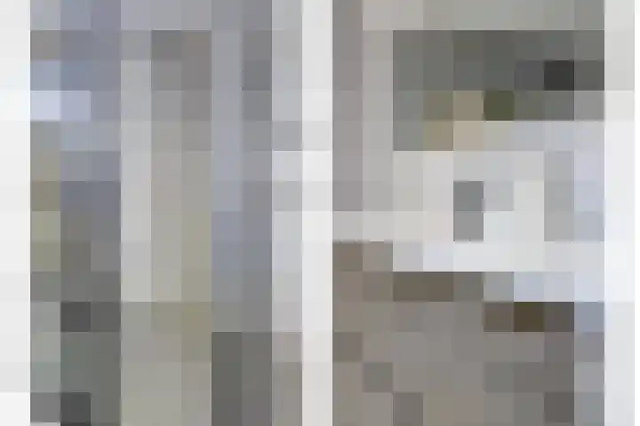 Stadhoudershoef 2 Hank thumbnail 22
