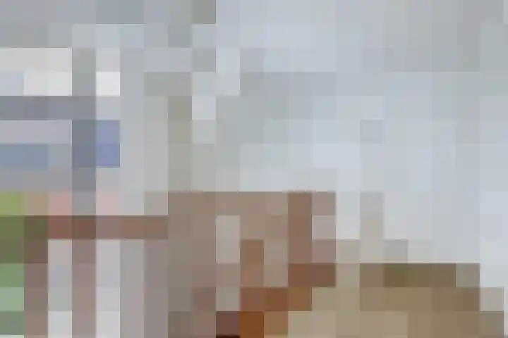 Stadhoudershoef 2 Hank thumbnail 29