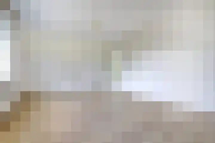 Stadhoudershoef 2 Hank thumbnail 31
