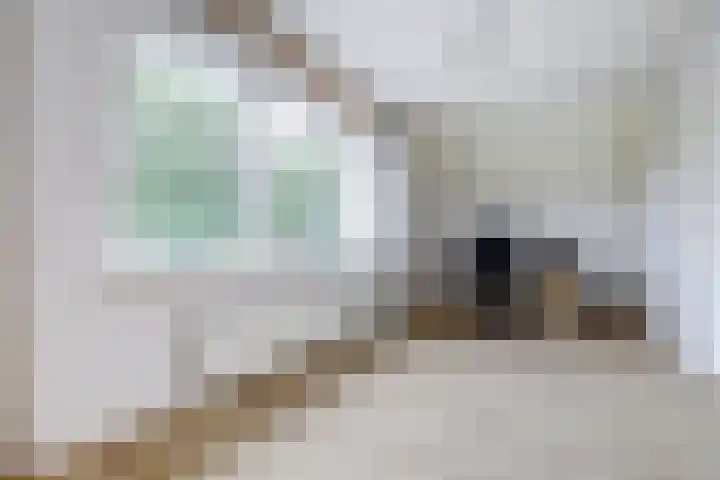 Stadhoudershoef 2 Hank thumbnail 32