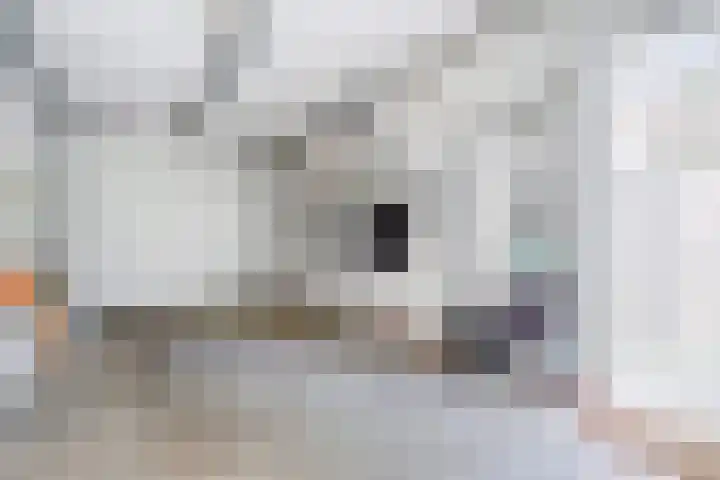 Stadhoudershoef 2 Hank thumbnail 40