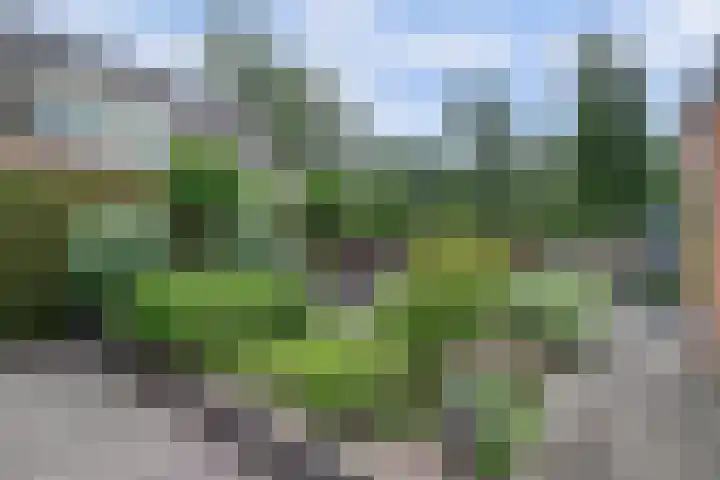 Stadhoudershoef 2 Hank thumbnail 47