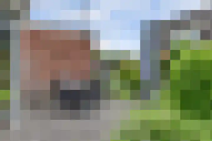 Stadhoudershoef 2 Hank thumbnail 52