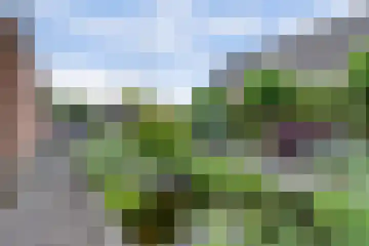 Stadhoudershoef 2 Hank thumbnail 53