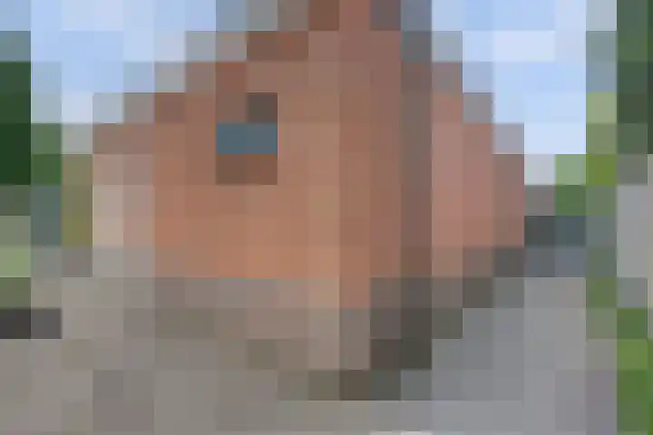 Stadhoudershoef 2 Hank thumbnail 54