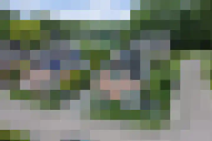 Stadhoudershoef 2 Hank thumbnail 64