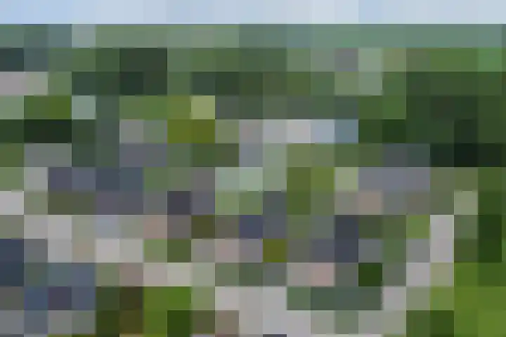 Stadhoudershoef 2 Hank thumbnail 67